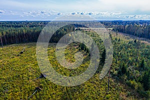 Aerial view of autumn trees. Colorful trees from above.