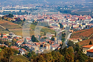 Aerial view of autumnal vineyards and town on background in Italy