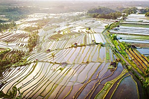 Aerial view of Bali Rice Terraces.