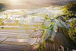 Aerial view of Bali Rice Terraces.