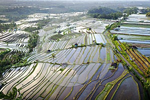 Aerial view of Bali Rice Terraces.