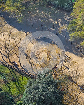 Aerial View Barcelona Park, Spain