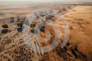 An aerial view of a barren field devoid of wildflowers, created with Generative AI technology