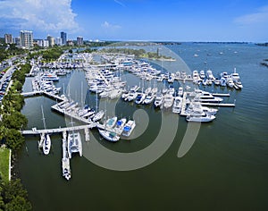 Aerial view of Bayfront Park Sarasota photo