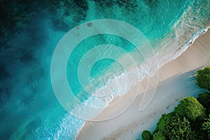 Aerial view of a beach with a boat and trees