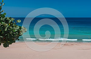 Aerial view on the beach in Playa del Matorral in Morro Jable, Canary Island Fuerteventura, Spain