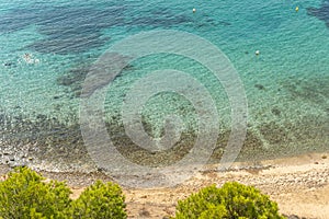 Aerial view of the beach of Portals Nous