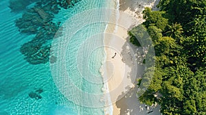 Aerial view of beach with trees and turquoise water AIG50
