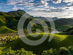 Aerial view of beatiful sunset at Long Coc tea hill, Phu Tho, Vietnam