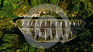 Aerial view of beautiful ancient fortress in forest in summer. Tarakaniv Fort.