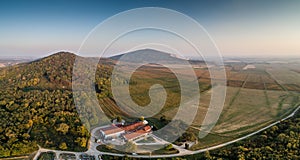 Aerial view of beautiful autumn vineyard