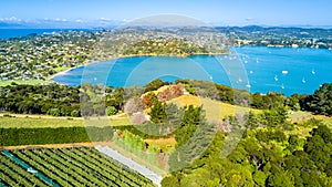 Aerial view on beautiful bay at sunny day with sandy beach and residential houses on the background. Waiheke Island, Auckland, New