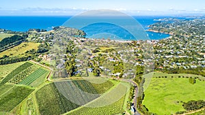 Aerial view on beautiful bay at sunny day with sandy beach and residential houses on the background. Waiheke Island, Auckland, New