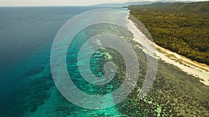 Aerial view beautiful beach on a tropical island. Philippines, Anda area.