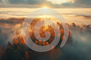 Aerial view of beautiful colorful autumn forest in low clouds at sunrise. The image is generated with the use of an AI.