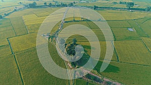 Aerial view of beautiful fields with river in Chiang Rai area