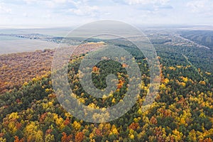 Aerial view of beautiful forest on autumn day