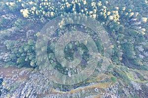 Aerial View of Beautiful Forest in Columbia River Gorge, OR