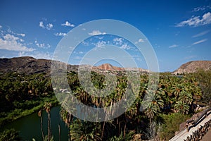 Aerial view of a beautiful forest near the sea in Mulege, Mexico