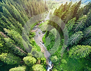 Aerial view of beautiful forest and river in summer. Top view. AI-generated image