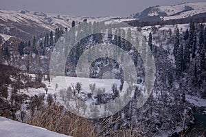 Aerial view of Beautiful forest snow scene in the West Tianshan Mountains in winter