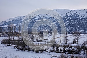 Aerial view of Beautiful forest snow scene in the West Tianshan Mountains in winter