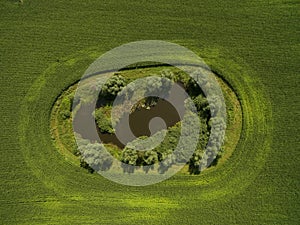 Aerial view of beautiful green agricultural fields wit a smal lake photo