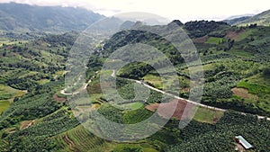 Aerial view of beautiful green landscape in the mountains with banana plantation