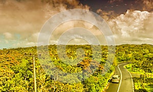Aerial view of beautiful island forest and road photo