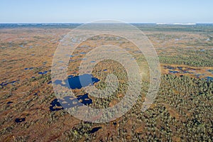 Aerial view of Beautiful lakes in swamp land.