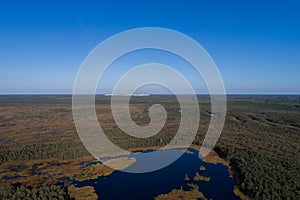 Aerial view of Beautiful lakes in swamp land.