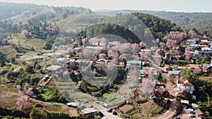 Aerial view beautiful landscape pink village in winter season at Ban Rong Kla Village Phitsanulok, Thailand