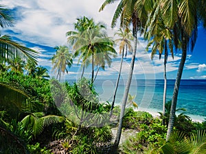 Aerial view of beautiful Maldives tropical beach on island. Summer and travel vacation concept