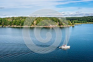 Aerial view of beautiful modern white sailing yacht sails on the sea surface on sunny summer day. Shot from cruise ship. Forest