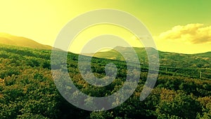 Aerial view on the beautiful mountain landscape, sunshine in forest and cloudy sky.