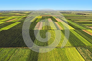 Aerial view of beautiful plain countryside landscape with cultivated fields of corn and sunflower