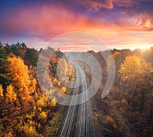 Aerial view of beautiful railroad in autumn forest in fog