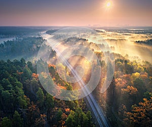 Aerial view of beautiful railroad in autumn forest in fog