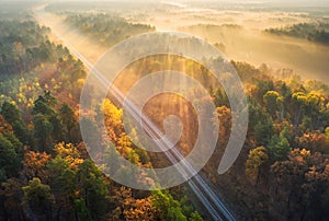 Aerial view of beautiful railroad in autumn forest in sunrise