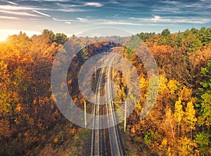 Aerial view of beautiful railroad in autumn forest at sunset