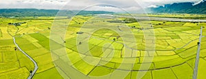 Aerial view of Beautiful Rice Fields at Chishang Township, Taitung County, Taiwan in autumn