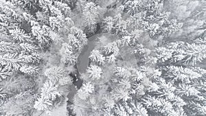 Aerial view of beautiful river thorugh snow covered forest in calm scene