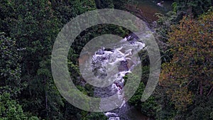 River stream in the jungle.