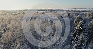 Aerial view of beautiful sunset at winter forest.