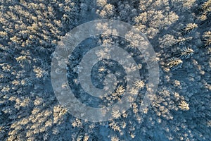 Aerial view of a beautiful sunset in the winter forest.