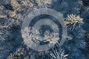 Aerial view of a beautiful sunset in the winter forest.