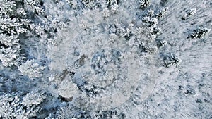 Aerial view of beautiful winter forest, roads and trees covered with snow in sunny day. Motion. Gorgeous winter scenery