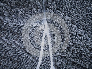 Aerial view of beautiful winter forest scenery