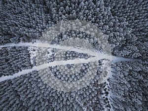 Aerial view of beautiful winter forest scenery