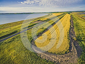 Aerial view of a beautiful yellow canola field.